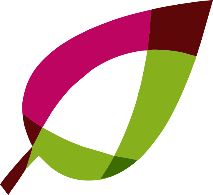 invelo ICONE